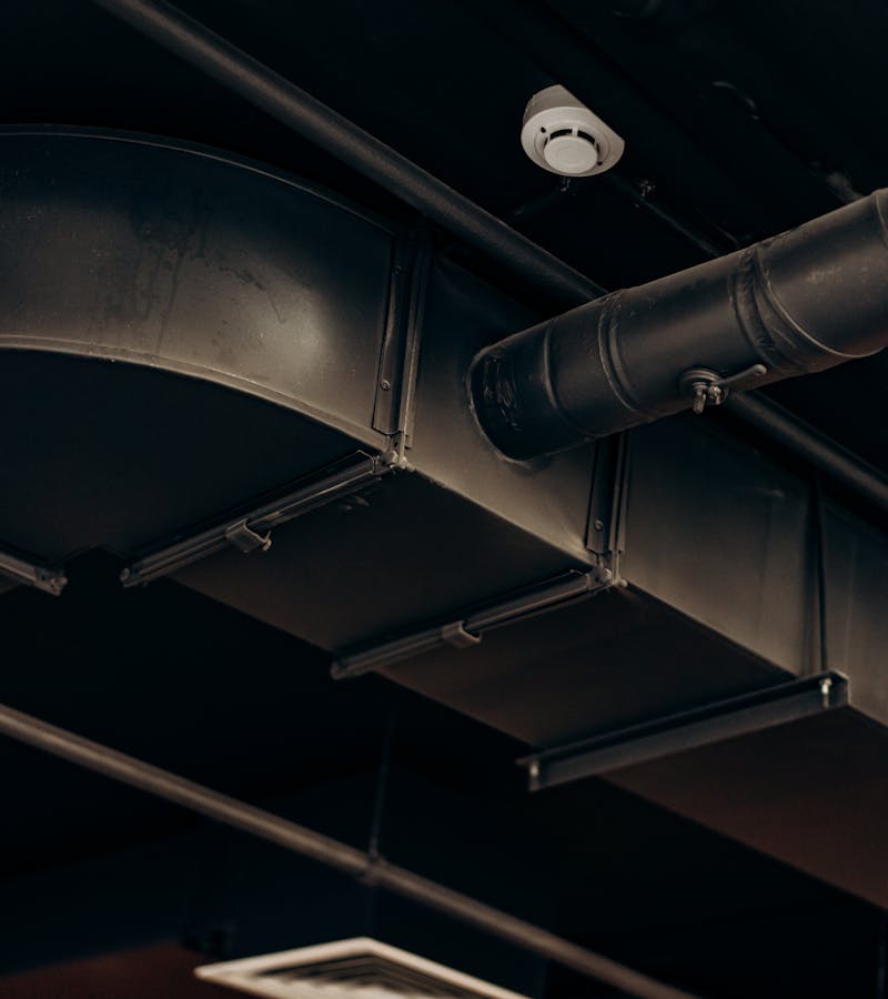 pexels-photo-8297856
